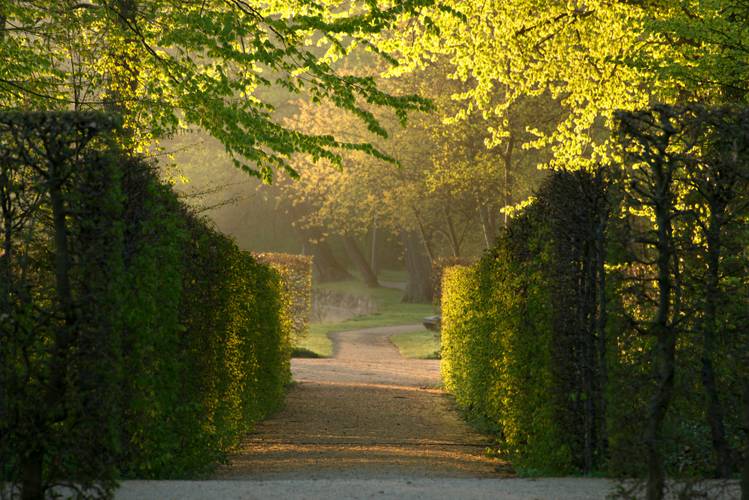 Heckentheater im Lustgarten Rheinsberg – Heckentheater im Lustgarten Rheinsberg