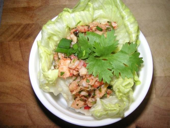 Dim Sum - Asiatisches Fingerfood, gewickelt und gerollt