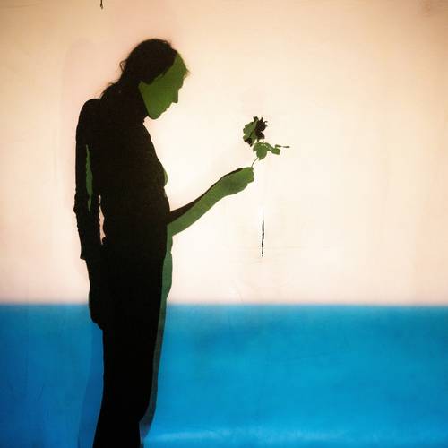 Eine Silhouette einer Person haelt eine Rose. Hintergrund in Blau und Beige getaucht.