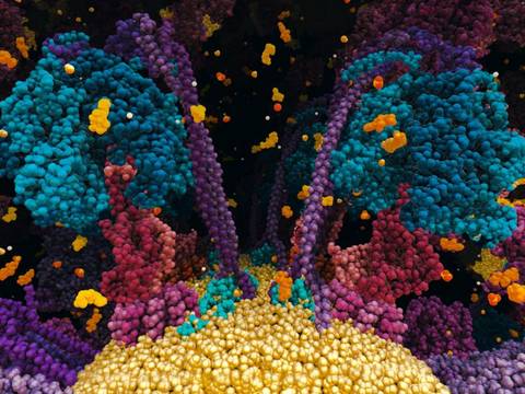 Cell structure from "Chemistry of Life" – Cell structure from "Chemistry of Life" © Norrköping Visualization Center C