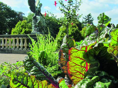 Auf der Terrasse des Orangerieschlosses