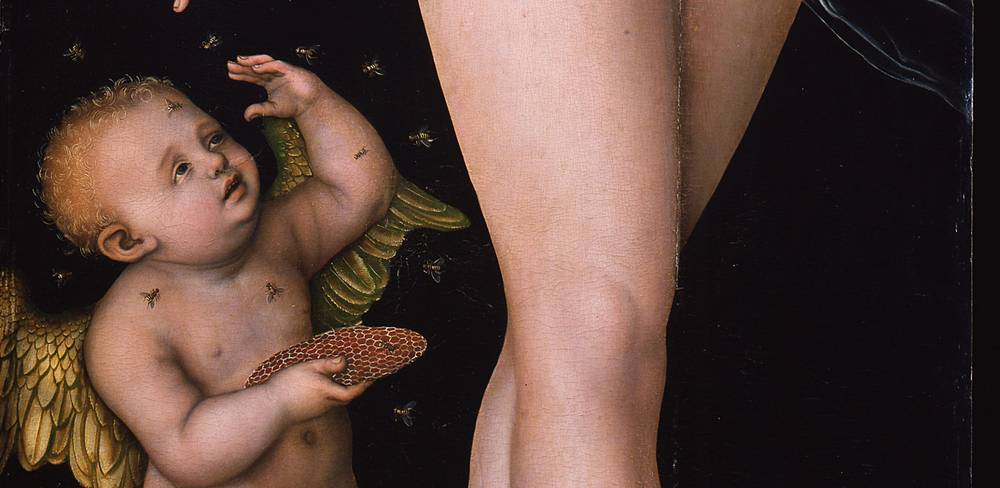 Lucas Cranach d. Ä., Venus und Amor als Honigdieb (Detail), nach 1537