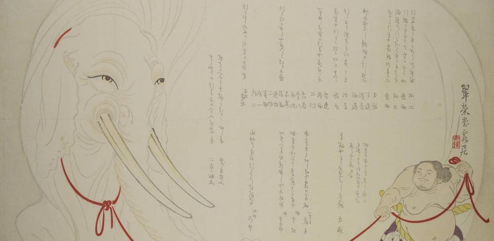Matsukawa Hanzan, signiert Suieidō Kakyo (1818 – 1882), Elefant und Sumo-Ringer, Detail, privat publizierter Farbholzschnitt (surimono)