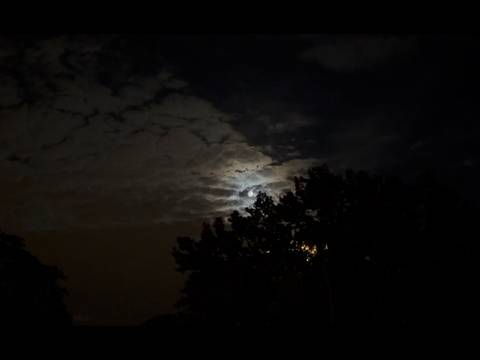 The moon captured during Yara Mekawei and Amir Rezk’s listening session, Moon Meat Lyrical (2026). Foto: Qu Chang – Nachthimmel mit Wolken und Vollmond hinter Bäumen, der schwaches Licht durch die Wolken hindurchscheinen lässt.