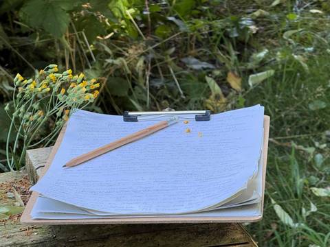 Nature Writing - einfach ausprobieren!