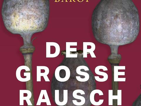 Buchcover zu "Der Große Rausch" von Helena Barop – Buchcover zu "Der Große Rausch" von Helena Barop