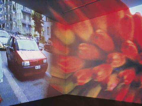 Pipilotti Rist, Ever is over All, 1997, Zweikanal-Video (color, sound), Videoinstallationmit zwei sich überlappenden Projektionen