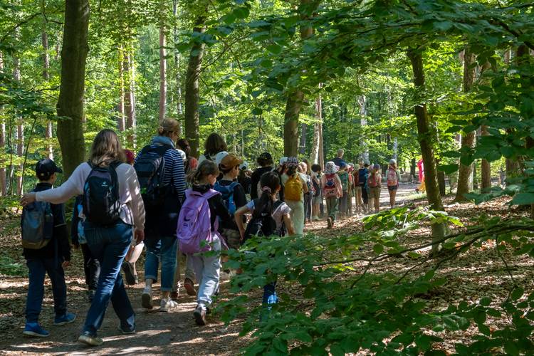 Expedition zum großen Glück