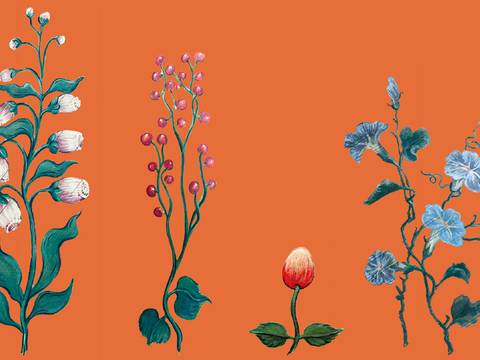 Blumenmotive auf einem Cembalo – Blumenmotive auf einem Cembalo