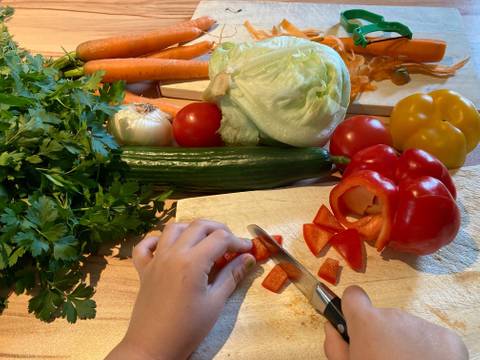 Buntes Picknick im Museumspark mit KIMBA – Hände schneiden eine bunte Auswahl an Gemüse