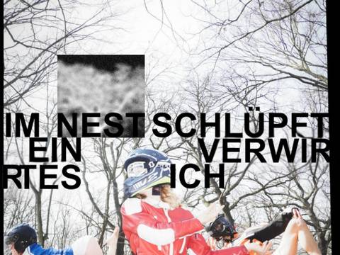 Im Nest schlüpft ein verwirrtes Ich