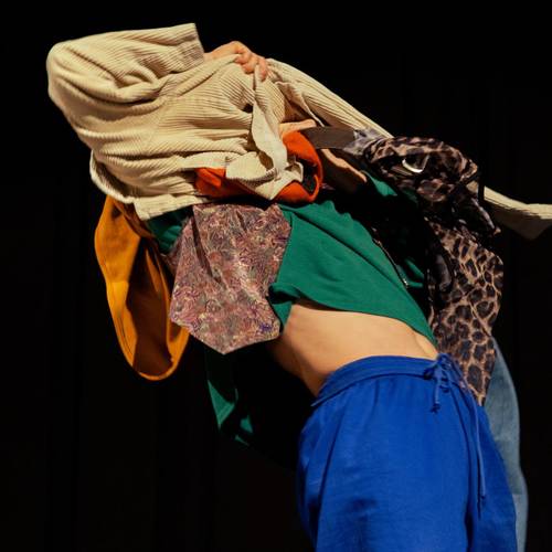 Kreationen III: Ordnung ist das halbe Leben / Metamorphosen / Memento Musca / in melle veritas / Tsuki