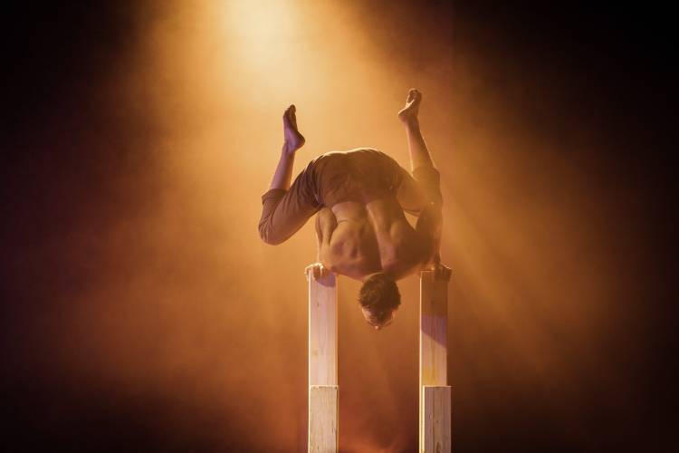 Florian Zumkehr: WILT and Shine