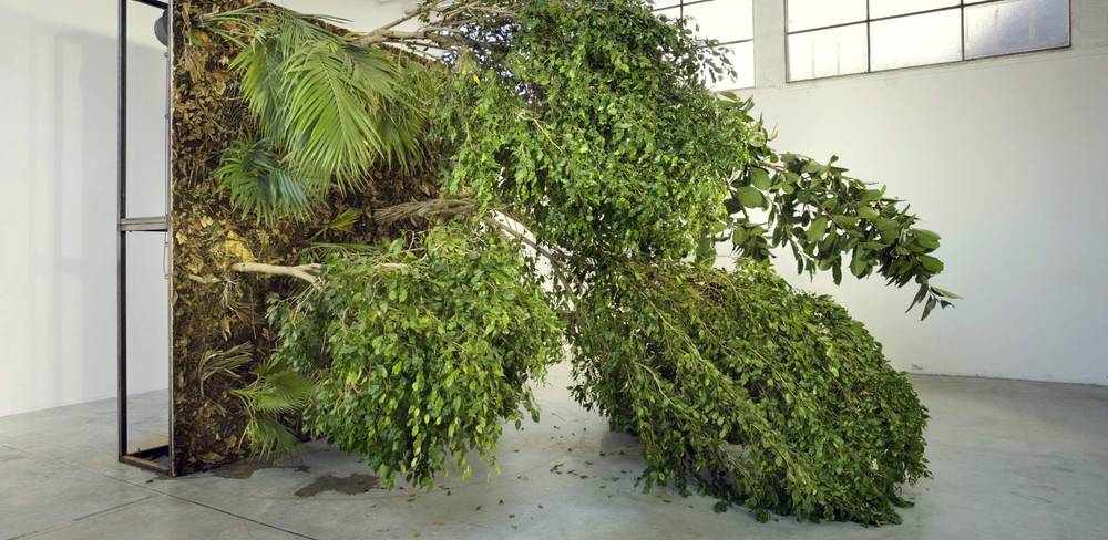 Henrik Håkansson, Fallen Forest, 2006, Installationsansicht „A travers bois pour trouver la forêt“, Le Palais de Tokyo, Paris, 2006