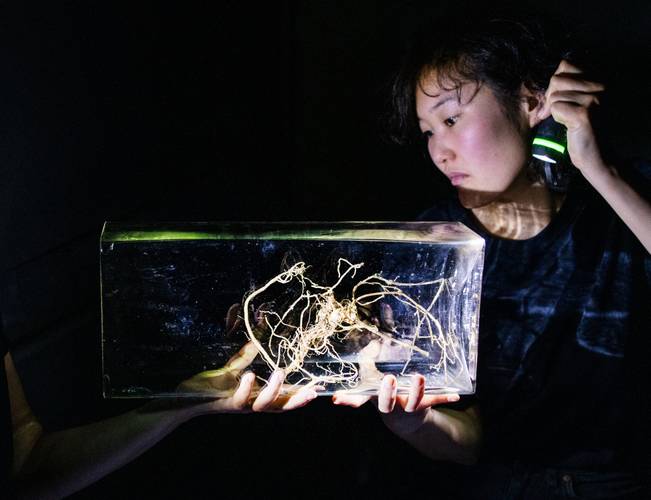 Fachtag: Aesthetics of Access im Figurentheater
