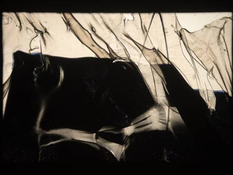  – Rey Akdogan, Single slide from Carousel #9, 2016