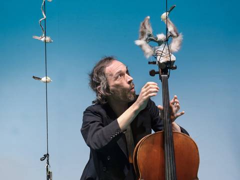  – Cello als Wolf