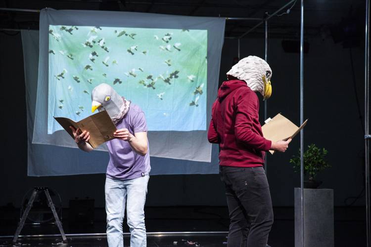 Zwei Personen mit Vogelmasken lesen Mappen vor einer Leinwand mit fliegenden Moeven. Links graues Shirt, rechts rote Kapuze.