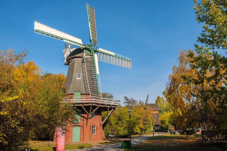 Im weitläufigen Museumspark kann man eine Holländer- und eine Bockwindmühle entdecken. Vorführungen geben Einblick in das Leben eines Müllers und in die Mühlentechnik. – Visitors can explore a smock mill and a post mill in the expansive Museum Park. Demonstrations provide a glimpse into the lives of millers and the world of mill technology.