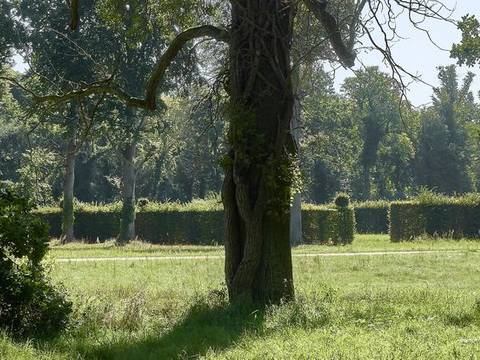 Klimawandel im Park Sanssouci