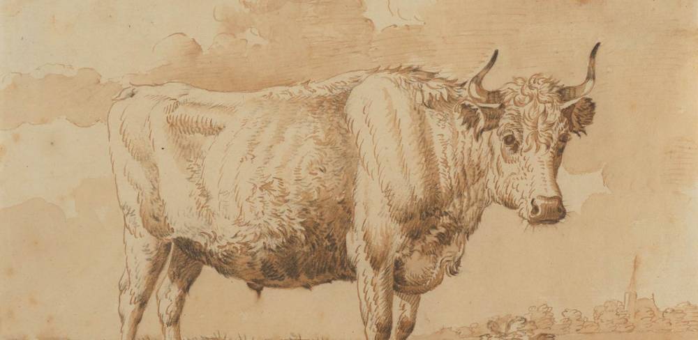 Jan van Gool, Auf der Weide stehender Stier, Detail, Pinsel in Rotbraun, braun laviert, über Vorzeichnung in schwarzer Kreide
