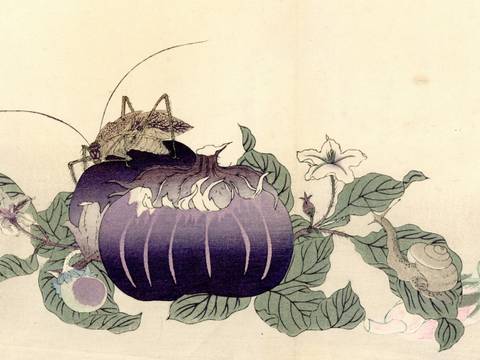 Utamaro: Mushirui Gafu, 1892 (Ausschnitt)