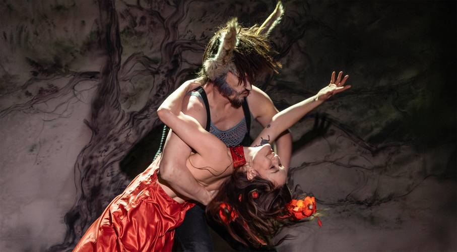 Ein Sommernachtstraum