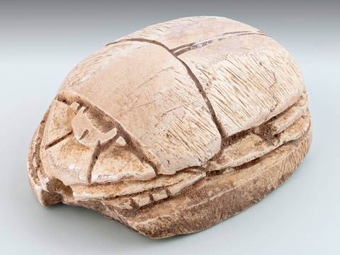 Skarabäus, 2. Zwischenzeit, 13. Dynastie, VÄGM 1983/032,