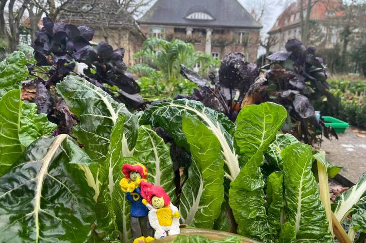 Heckenwesen 2026, Foto: Laureline van den Heuvel – Heckenwesen 2026, Foto: Laureline van den Heuvel