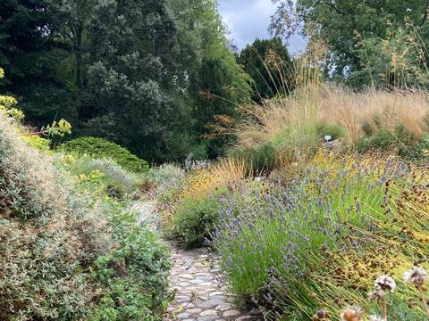 Gesund im Garten – Kiesweg durch einen üppigen, farbenfrohen Garten mit Lavendel und Gräsern; im Hintergrund dichte Bäume und ein bewölkter Himmel.