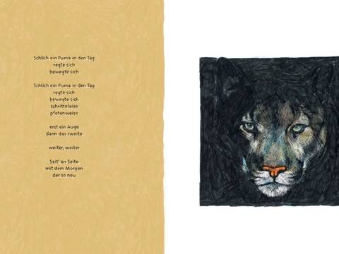 Buch "Schlich ein Puma in den Tag"