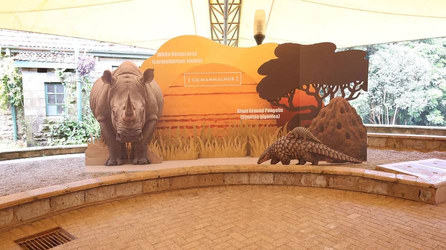 Co-MammalHub am Nairobi National Museum: Bühne für Storytelling Wettbewerb, Juni 2026, Kilibasi Design Studio,