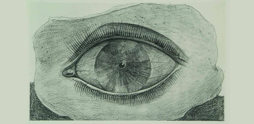 Max Ernst, Histoire Naturelle (Blatt XXIX: la roue de la lumière – Lichtrad), 1926, Sammlung Würth