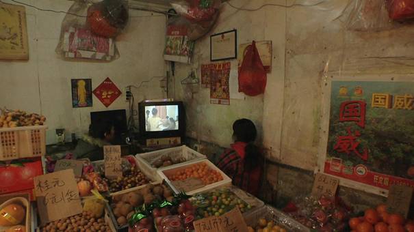 Leslie Tai, THE PRIVATE LIFE OF FENFEN, USA / 2013