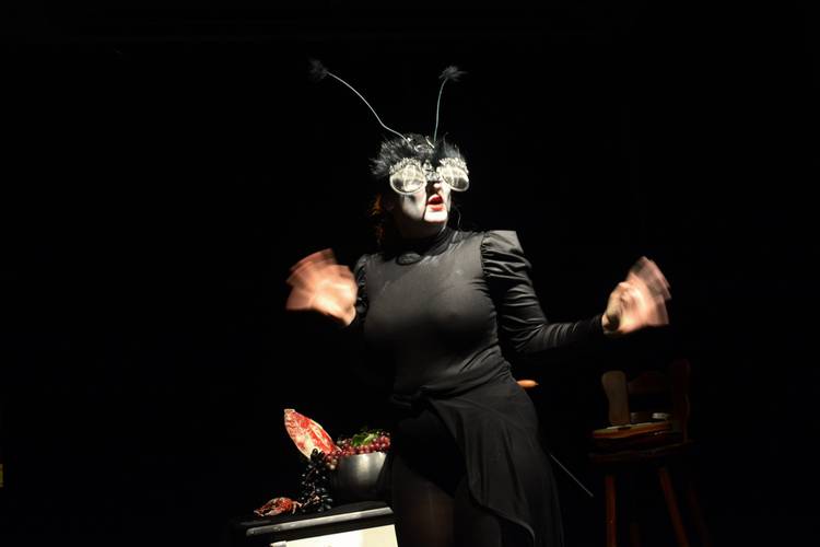 Kreationen III: Ordnung ist das halbe Leben / Metamorphosen / Memento Musca / in melle veritas / Tsuki