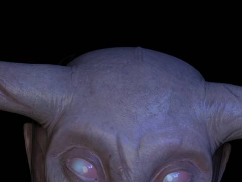 Cihad Caner, Demonst(e)rating the Untamable Monster, 2019