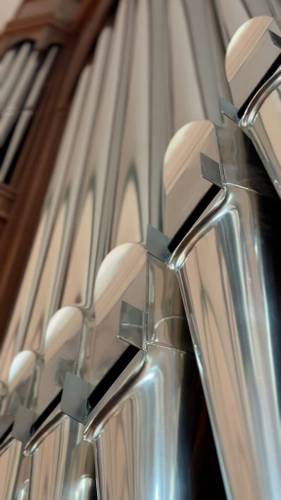 Detail-Ansicht der Orgel in der Nikolaikirche – Blick entlang der silbrig glänzenden Orgelpfeifen nach oben