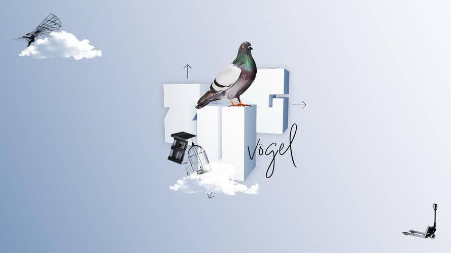 ZUGvögel – Eine Sammlung in Bewegung