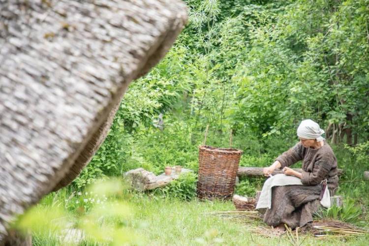 Eine Darstellerin des Fördervereins Museumsdorf Düppel e.V. bearbeitet Weidenruten, um daraus Körbe zu flechten. – Eine Frau sitzt auf einem Holzstumpf und bearbeitet mit einem kleinen Messer Weidenruten, daneben steht ein Weidenkorb