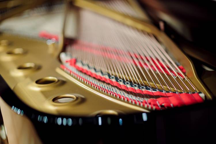 Blick in einen Steinway-Flügel – Blick in einen Steinway-Flügel