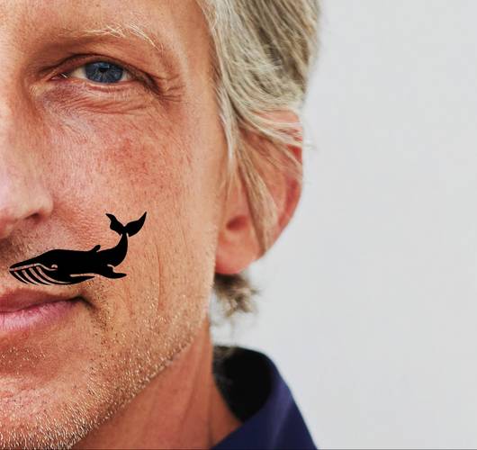William Wahl - KANN LEIDER NICHT STATTFINDEN - wahlweise - VERLEGT! – Axel Schulte