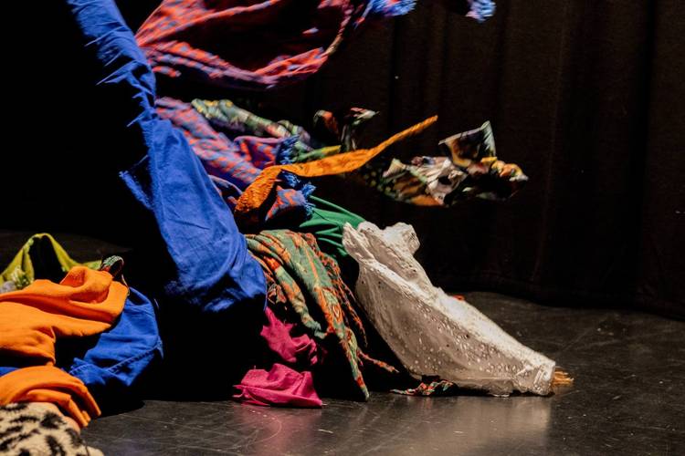 Kreationen III: Ordnung ist das halbe Leben / Metamorphosen / Memento Musca / in melle veritas / Tsuki