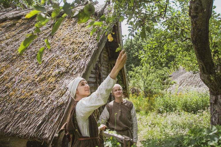Das Museumsdorf Düppel vermittelt sinnliche Eindrücke vom ländlichen Alltag im Mittelalter. – Zwei Frauen im Garten des Freilichtmuseums beim Ertasten eines Baumzweiges