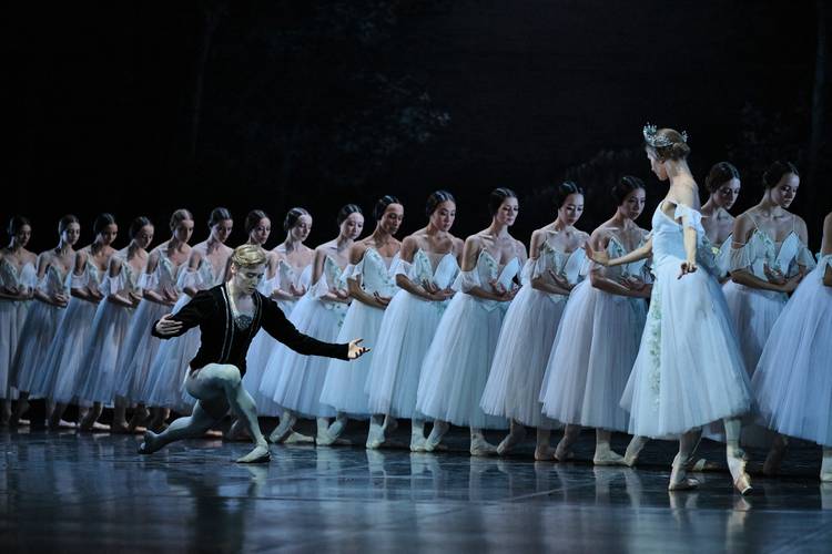 Giselle – Ballettszene mit einer männlich gelesenen Person kniend vor einer Reihe von Tänzer*innen in weißen Tutus; eine Tänzerin steht rechts.