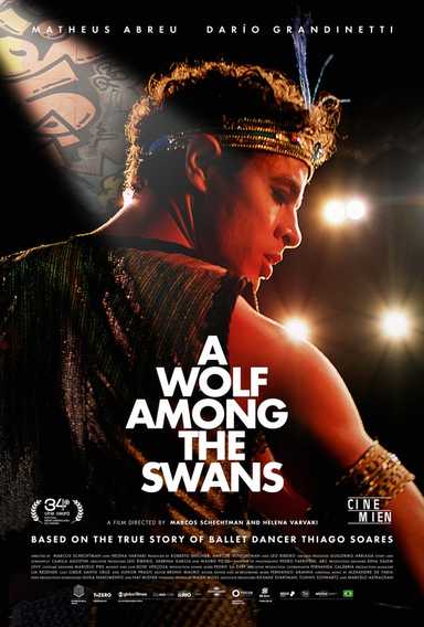 Filmplakat A Wolf Among the Swans