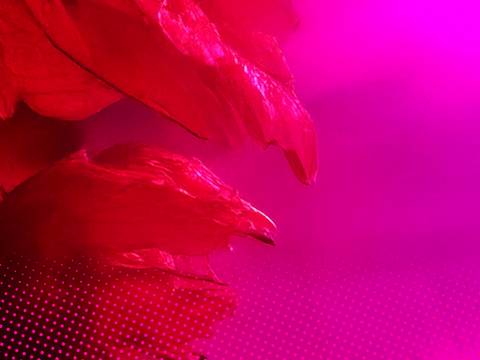 Grafik Header Spielzeit 25/26