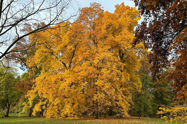 Botanischer Garten