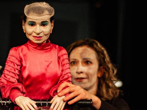 DIE KATZE VON KAMPEN