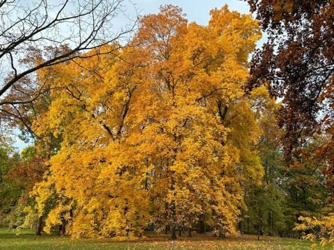 Botanischer Garten
