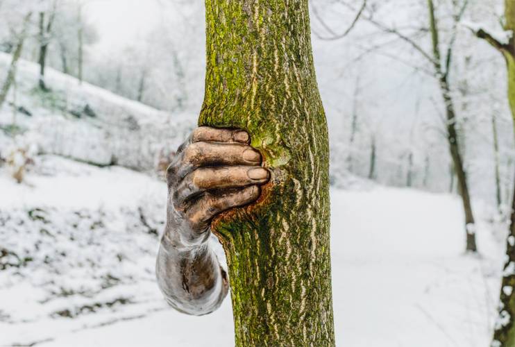 Giuseppe Penone, "Toccare il tempo (To Touch the Time)", 2004-2008